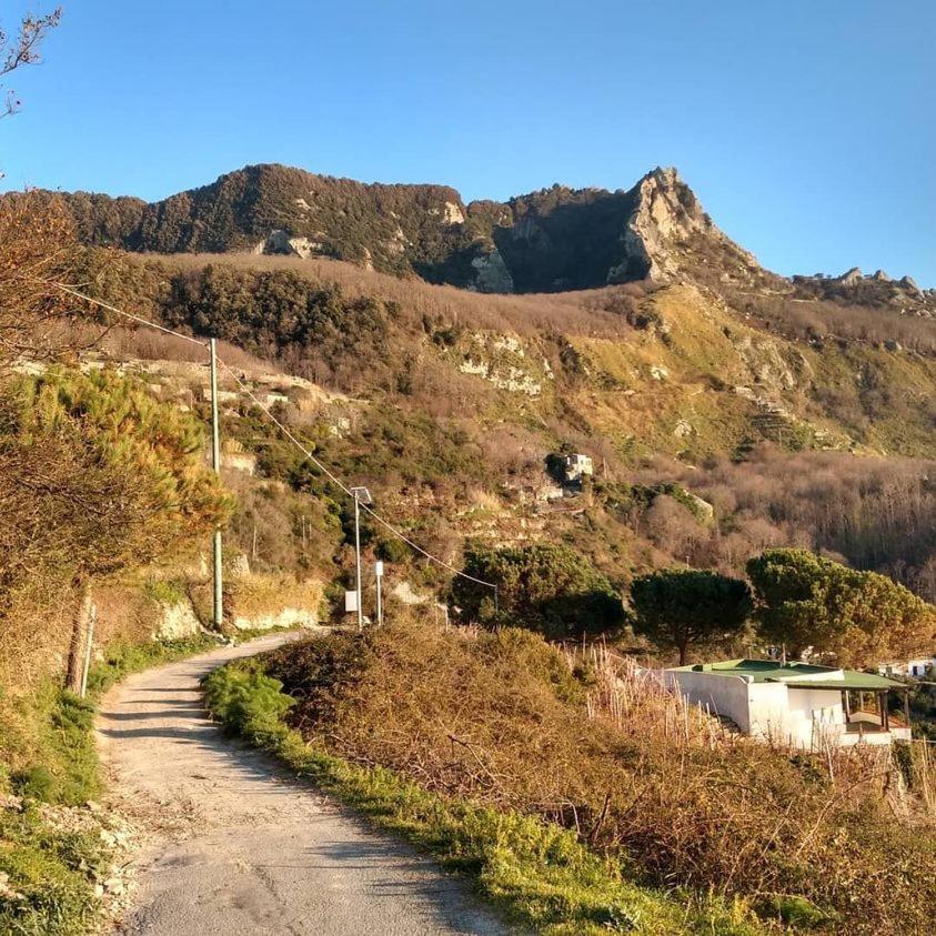 Villa Thomas Bb Conduzione Familiare Forio  Exterior photo